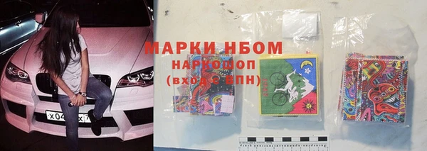 стаф Белокуриха