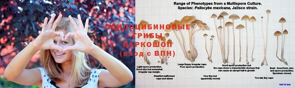 круглые Беломорск