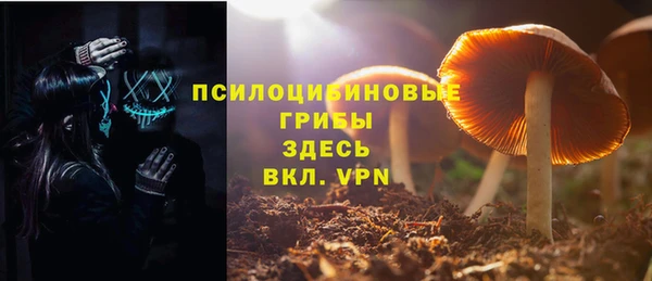 кристаллы Богданович