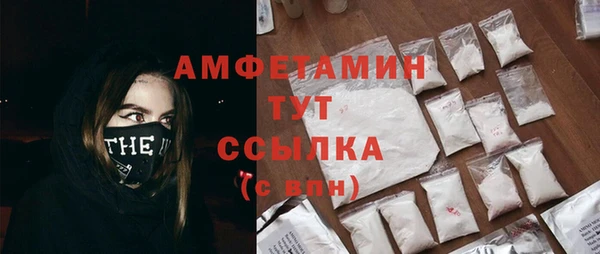 стаф Белокуриха