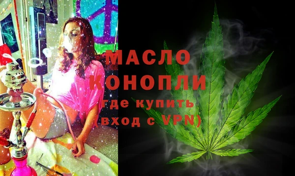 гашик Сосновка