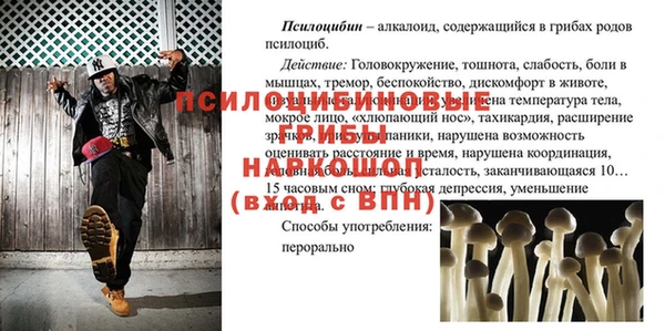 стаф Белокуриха