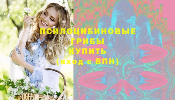 стаф Белокуриха