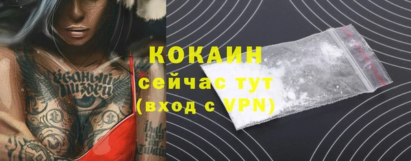 гашик Сосновка